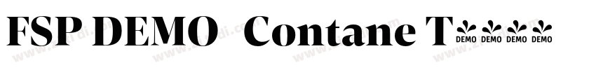 FSP DEMO   Contane T字体转换